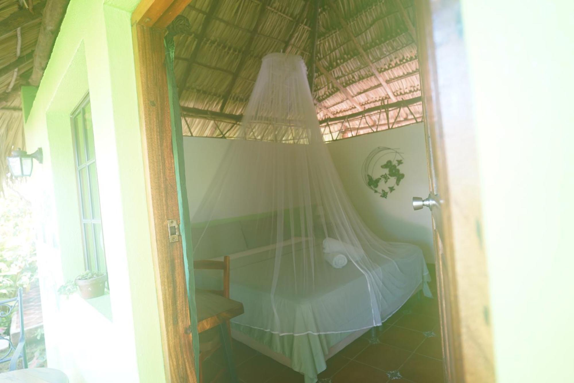 Hotel Mariposa León Dış mekan fotoğraf