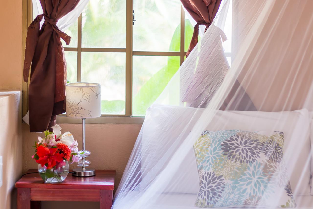 Hotel Mariposa León Dış mekan fotoğraf