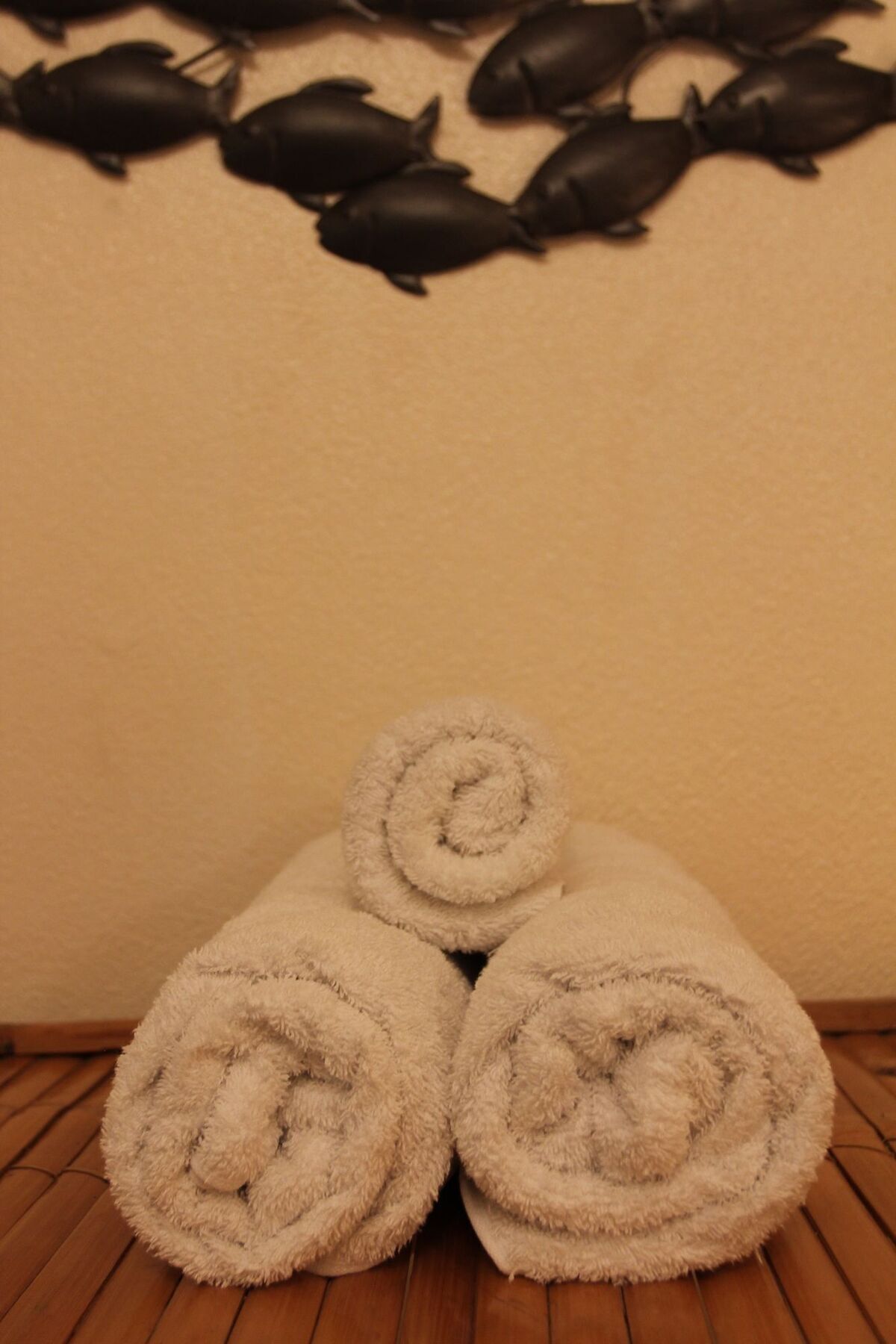 Hotel Mariposa León Dış mekan fotoğraf