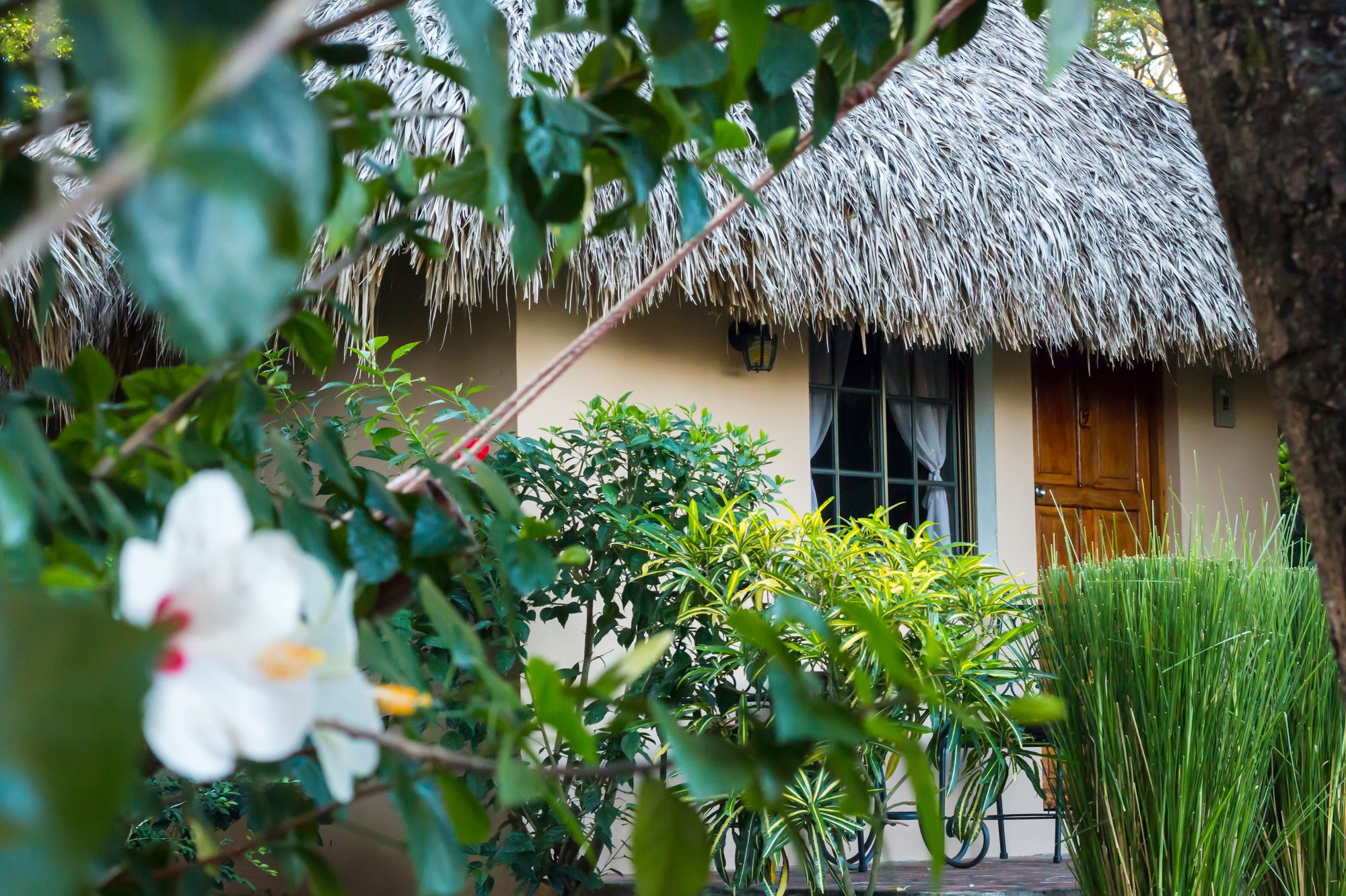 Hotel Mariposa León Dış mekan fotoğraf
